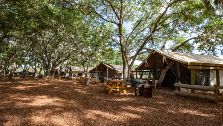Glamping