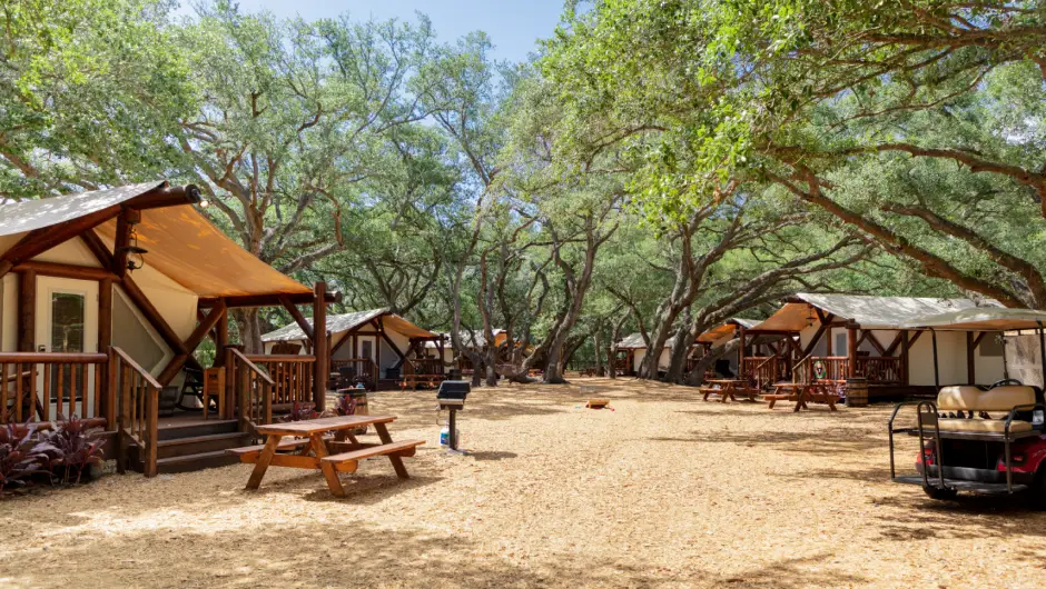 Luxury Glamping
