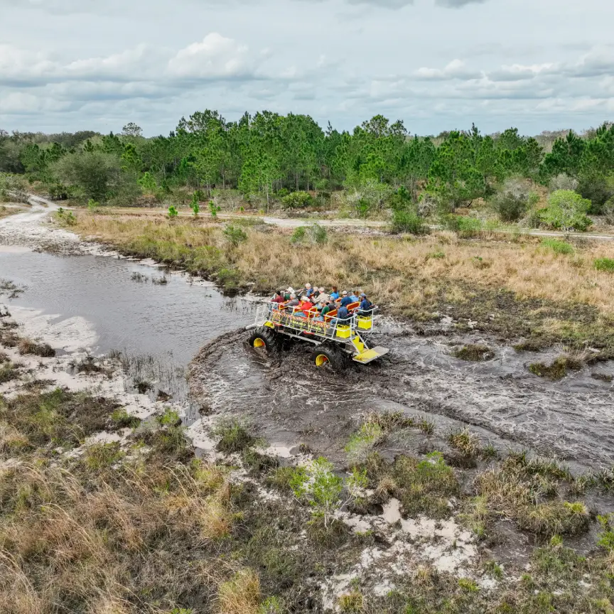 Swamp Buggy