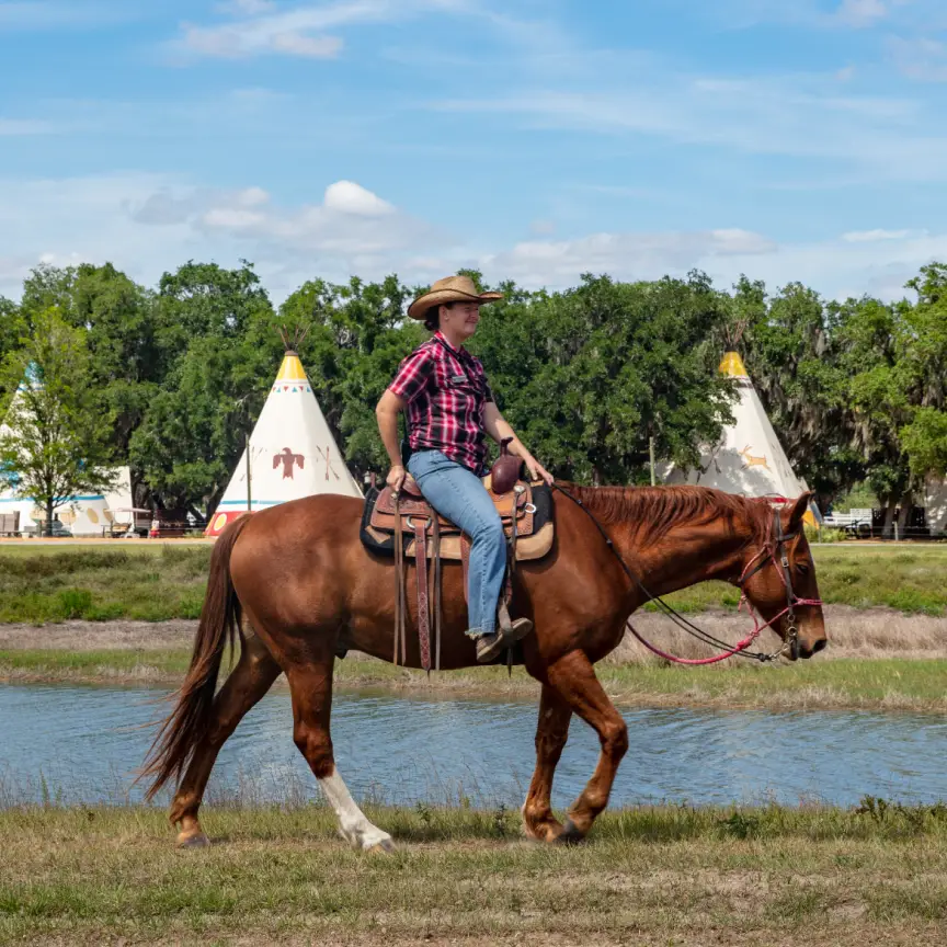 Horses
